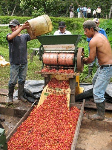 What are Processing Methods?